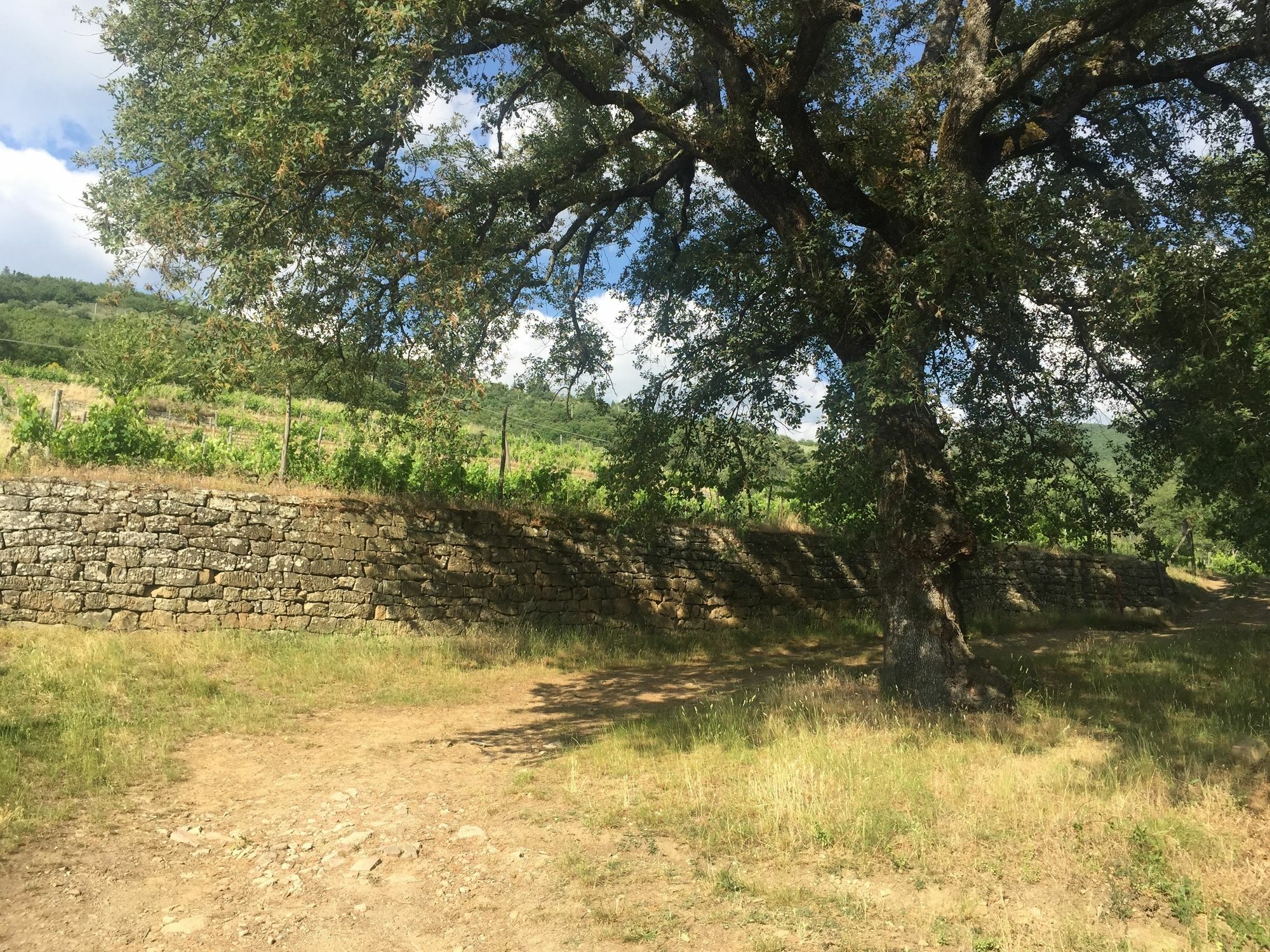 Villa La Grotta San Giustino Valdarno Extérieur photo